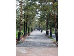 Belediye Parklara Tartan Pist Yaptırıyor