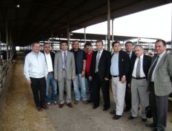 Kayserili İşadamları Hayvancılığa Merak Sardı