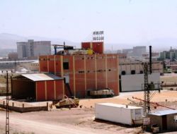 Mardin Kabuğuna Sığmıyor