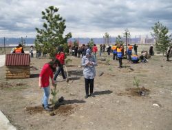 Erzurum Büyükşehir Belediyesi, Ağaçlandırma Çalışmalarına Başladı