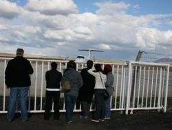 ELEŞKİRT'TE TRAFİK KAZASI