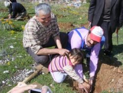 Kutlu Doğum Hatıra Ormanı'na Fidan Dikildi