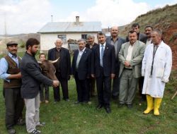 'Alo Veteriner' Hattı Hizmete Başladı