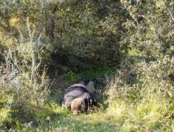 Tarlada Erkek Cesedi Bulundu