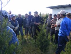 İş Kur’dan İş Bulma Güçlüğü Çekenlere İş İmkanı