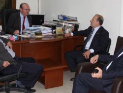 Chp'li Aday Demirçalı: Adana'da En Az 7 Milletvekili Çıkaracağız