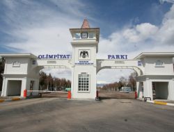 Eski Serbest Bölge'deki Düzenleme Çalışmaları Sürüyor