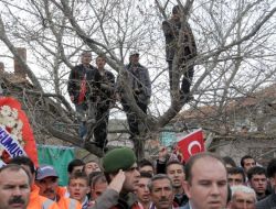 Bakan Eroğlu: Vatandaşın Talebini Sigara Paketine Yazan Bir Hükümet Değiliz