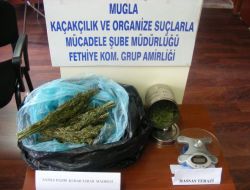 "DEDEKTÖR KÖPEK ÇİLEK"