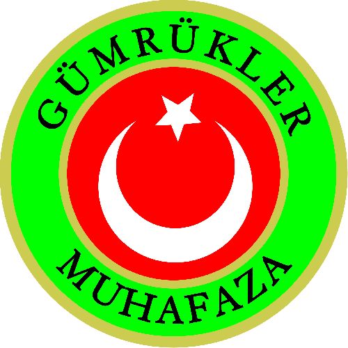 GÜMRÜKLERDE ŞOK OPERASYONLAR