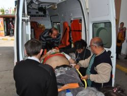 Karaciğer Yetmezliğinden Kurtuldu, Trafik Kazasında Can Verdi