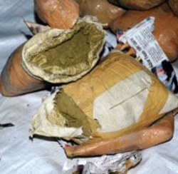 Minik Yavruları Zehirleyeceklerdi!