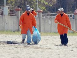 Mahkumlar Alanya Sahillerini Temizledi