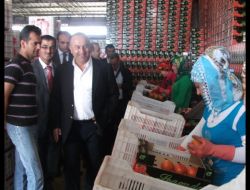 Çavuşoğlu: Antalya-alanya Arasına Hızlı Treni Getirmek İçin Çalışıyoruz