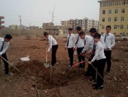 Silopi’de Lise Öğrencileri Fidan Dikti