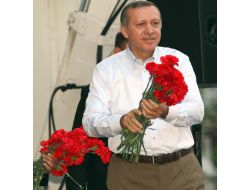 Bu Namert Eller, Netice Alacaklarını Zannediyor!