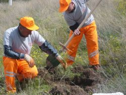 Kayseri Osb’de 15 Bin 500 Fidan Toprakla Buluştu