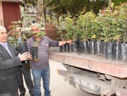 Polatlı’da Cami Bahçeleri Güllerle Donatılacak