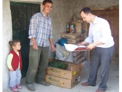 Çiftçisine 5 Bin Adet Altın Çilek Fidesi Dağıtıldı