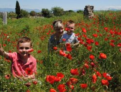 Antalya'nın 4 İlçesinde Botanik Turizmi Turları Başladı
