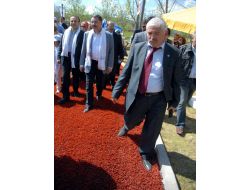 Bağış, Avrupa Treni İle Ab'ye Mesaj Gönderdi