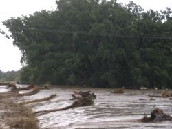 Hindistan'da Sel: 130 Ölü