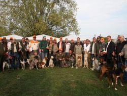 Av Köpekleri Hünerlerini Sergiledi