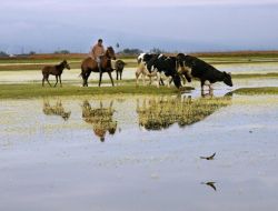 Sultan Sazlığı Foto Safari Yarışması Dereceleri Belli Oldu