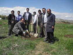 Lise Öğrencileri Anneleri İçin 1000 Ağaç Dikti