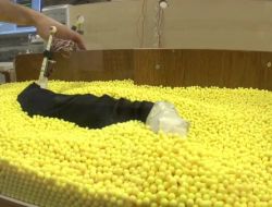 ‘KERTENKELE ROBOT’