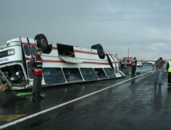 Nevşehir’de İnek Sürüsü Yüzünden Otobüs Devrildi: 1 Ölü, 31 Yaralı