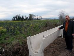 Bafra Ovası'nda Toplulaştırma Çalışması, Üreticilerin Tepkisini Çekti