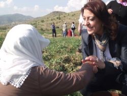 Ulema’ya Çiftçi Kadınlardan Tam Destek