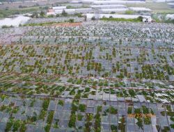 Mağdur Çiftçiler Yardım Bekliyor!