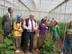 Siirt Çolak Köylerde İncelemelerde Bulundu