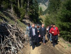 Vali Salihoğlu Ağaçlandırma Çalışmalarını İnceledi