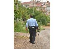 Polis, Mahalleye İnen Domuzları Mp-5 Tüfekle Takip Etti