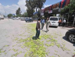 Mersin'de Biber Üreticileri Eylem Yaptı