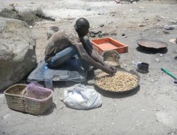 Bu Fıstık Lezzetini Kumdan Alıyor