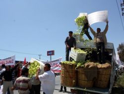 Üreticiler Kılıçdaroğlu’nun Önüne Biber Döktü
