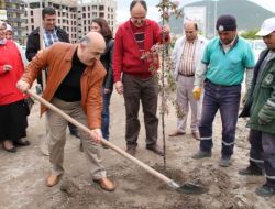 Eczacılar Fidan Dikti