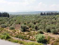 Antalya Özel İdare, Vakıf Çiftliği’ne Ortak Oldu