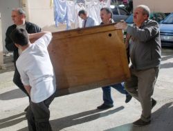 Yavru Ayıyı Domuz Saldırısından Kurtardı