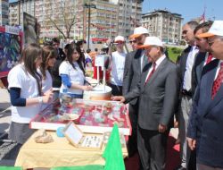 Bilim, Kültür Ve Spor Şenliği