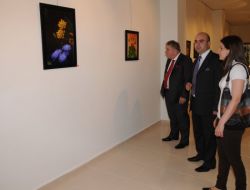 Gazeteci Kırdök'ün Kişisel Sergisi Açıldı