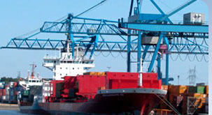 BİLGE ihracata damga vurdu!