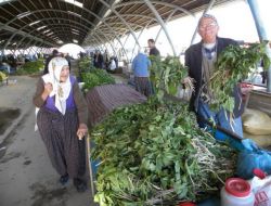 Organik Salı Pazarı'na İlgi Artıyor