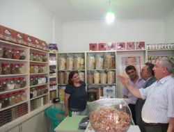 Chp'li Kaptan, Finikelilerden Oy İstedi