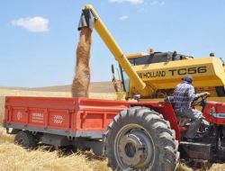 Başkan Açıkgöz: Hububatta Geçen Yıla Oranla Yüzde 30 Artış Bekliyoruz