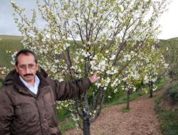 Aşırı Yağışa Karşı Sigorta Uyarısı Yapıldı